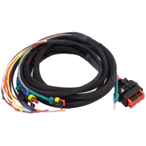 Wakespeed WS500/PH P-Type wiring harness